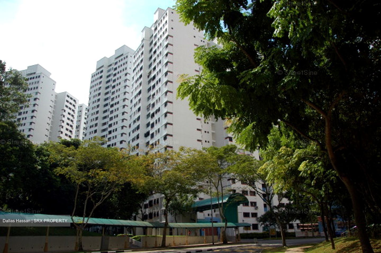 Blk 534 Panshan Grove (Bukit Panjang), HDB 4 Rooms #623058061
